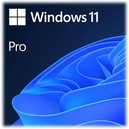 Windows 11 Professional